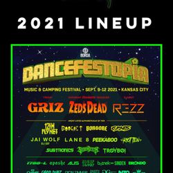 Dancefestopia Ticket And Camping Pass