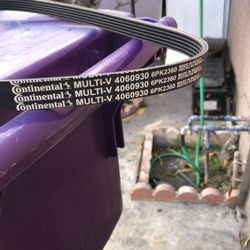 New Ls Truck Continental Serpentine Belt