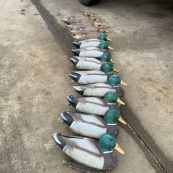 Storm Front Mallard Decoys + Cabela’s Decoy Bag