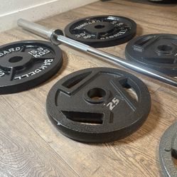 CUZ NEED THE $$ NEW Olympic Equipment: 6 ft Silver Bar & Weight Plates 35s, 25s, and 10s lbs. Total: 180 lbs [ NO, No Better Price]