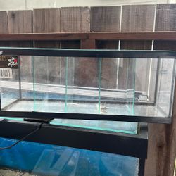 betta fish tank, 5 compartments, one and a half gallons