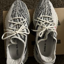 Yeezy 350