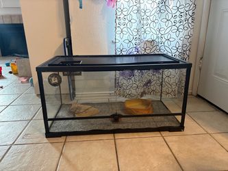 Bearded Dragon reptile large glass cage with lights and accessories