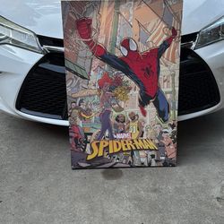 Spider-Man Frame