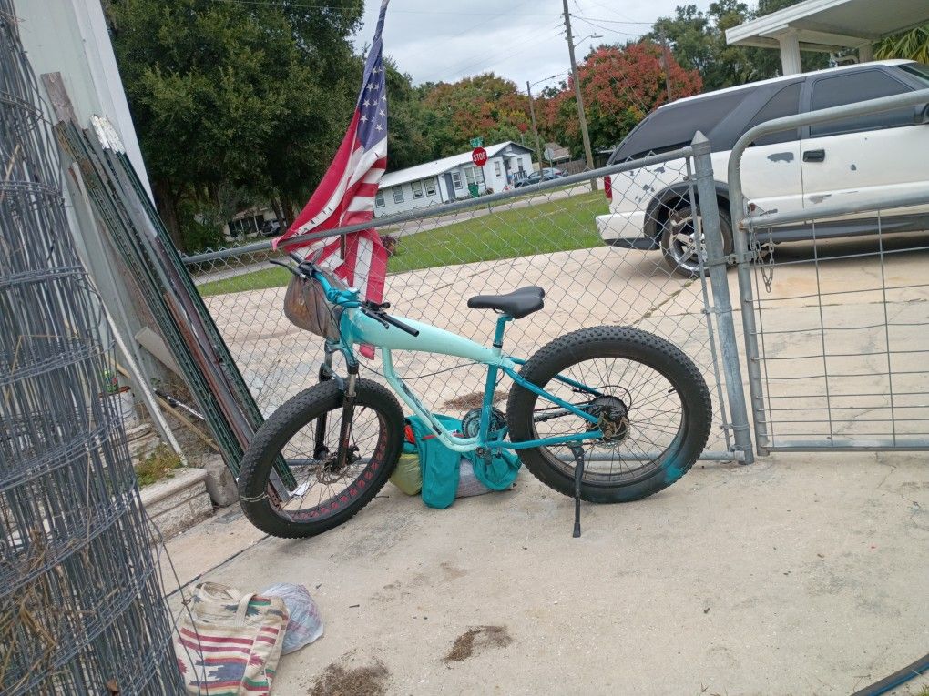 Bike with (brand new tires) wired (Ready to take a battery).