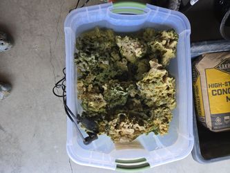 100 pounds of live rock for reef tank