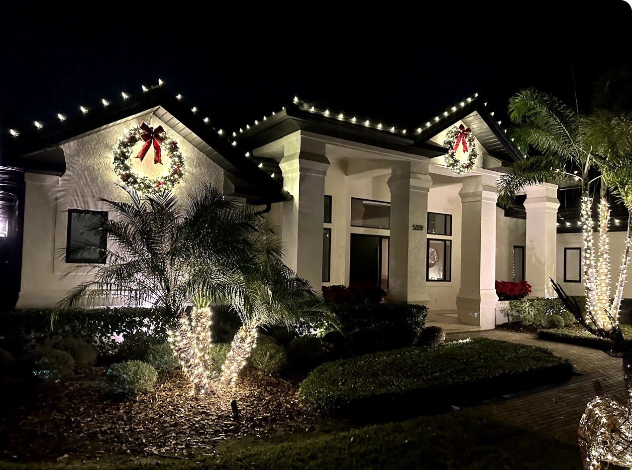 Tree Delivery / Christmas Light Installation