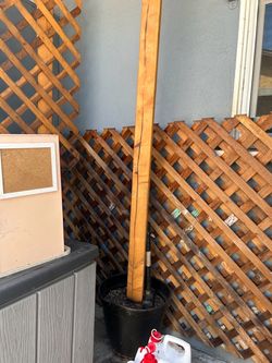 Pots with post
