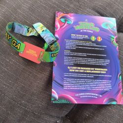 Beyond Wonderland 2 day GA Wristband
