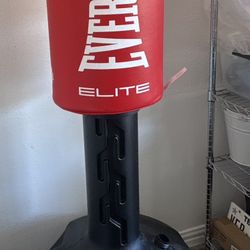 Punching Bag - EVERLAST