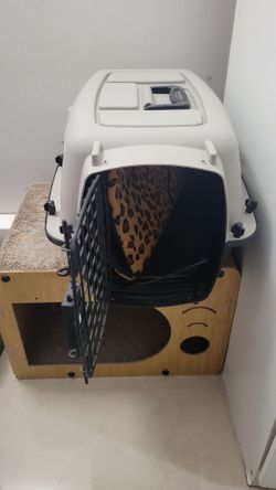 Free Cat Items
