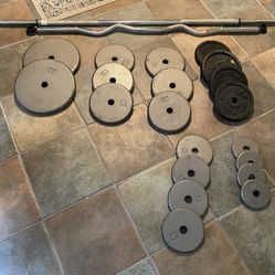 Barbell, Curl Bar, 20 Weight Plates For Excercise 