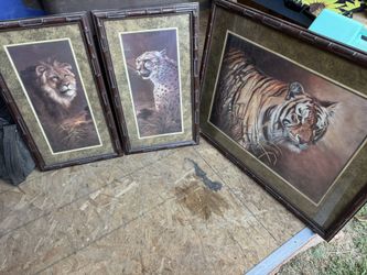 Home Interior Decor