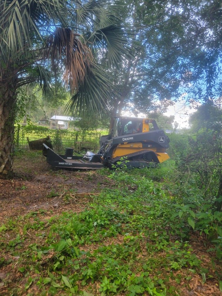 Brush Cutter & Clearing Land 