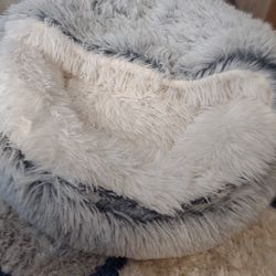 Cat Beds , And Medical Supplies 