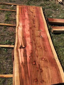 Giant sequoia live-edge wood slabs