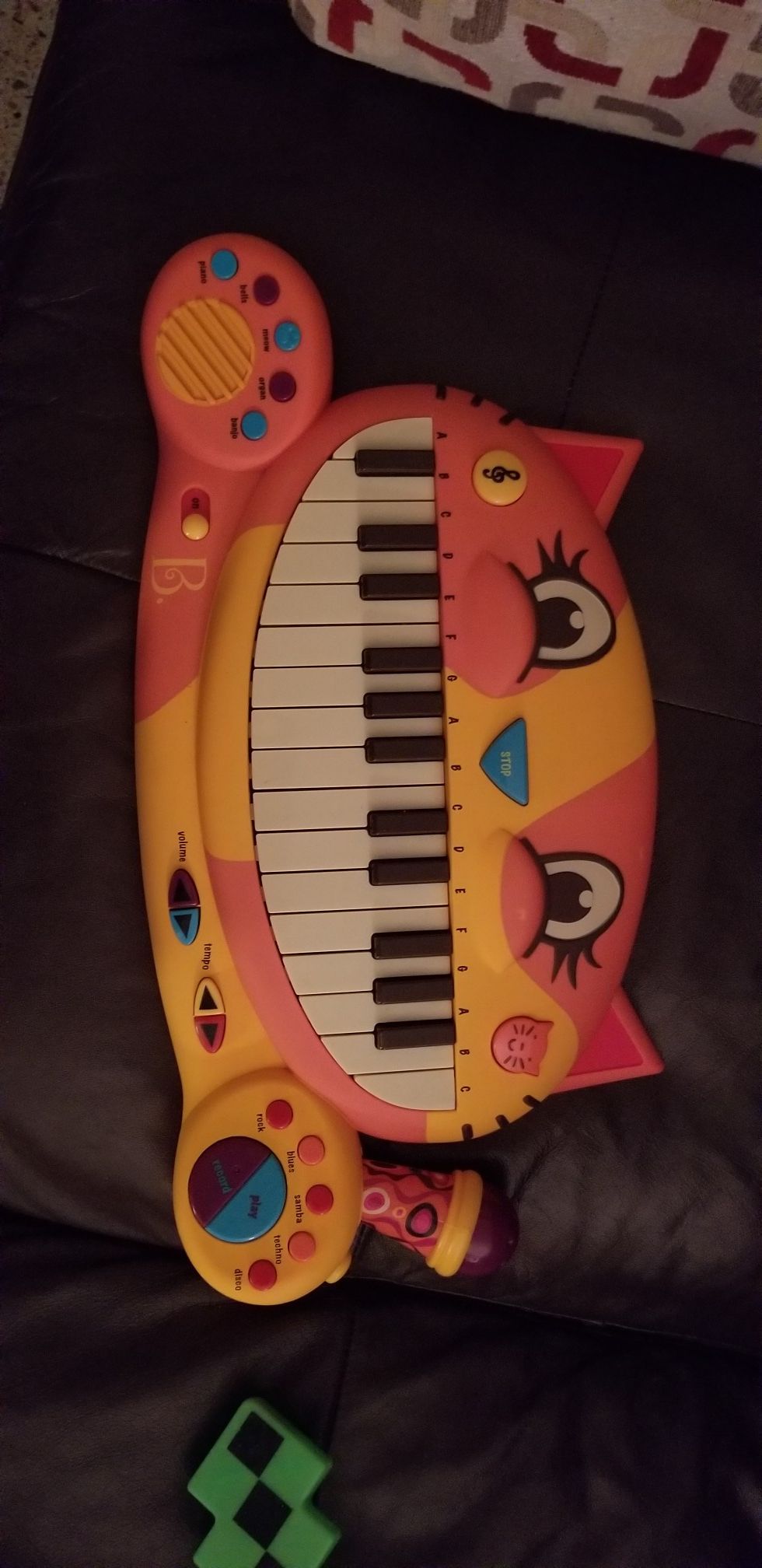 Piano cat
