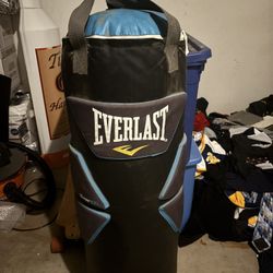 Punching Bag With Side Pads