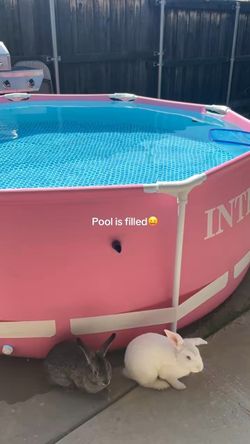 INTEX 8Ft X 30In Pink Metal Frame Above Ground Pool