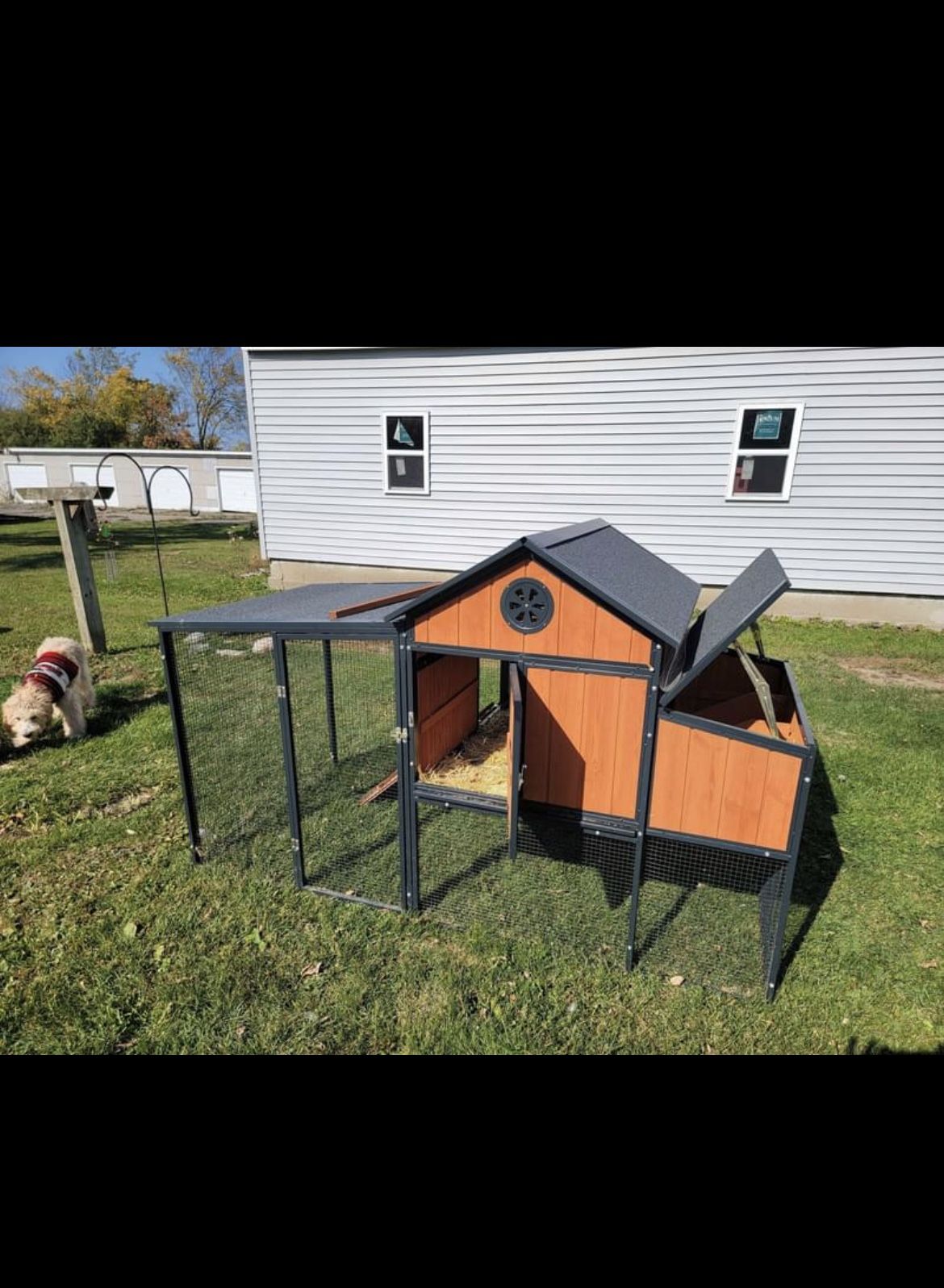 Chicken Coop