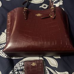 Coach Mollie Purse And Wallet