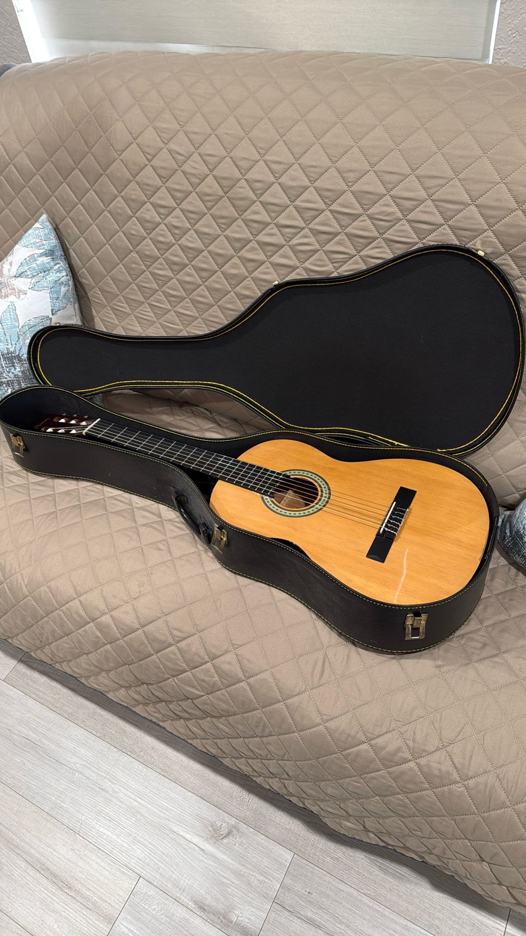 Galvador Ibanez guitar
