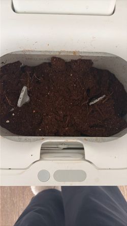 Mill Recycler organic grounds 10lbs