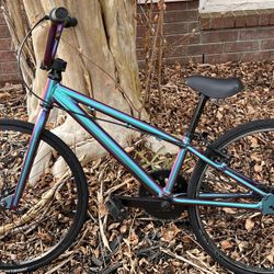 **Price Lowered** Custom DK Swift Mini Racing BMX
