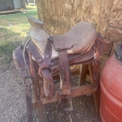 Saddle Montura 
