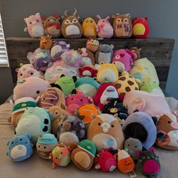 Sooo Many  squishmallow Like New Lot Bundle 