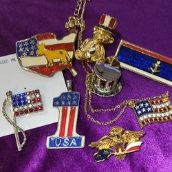 Patriotic Pin Set 😉