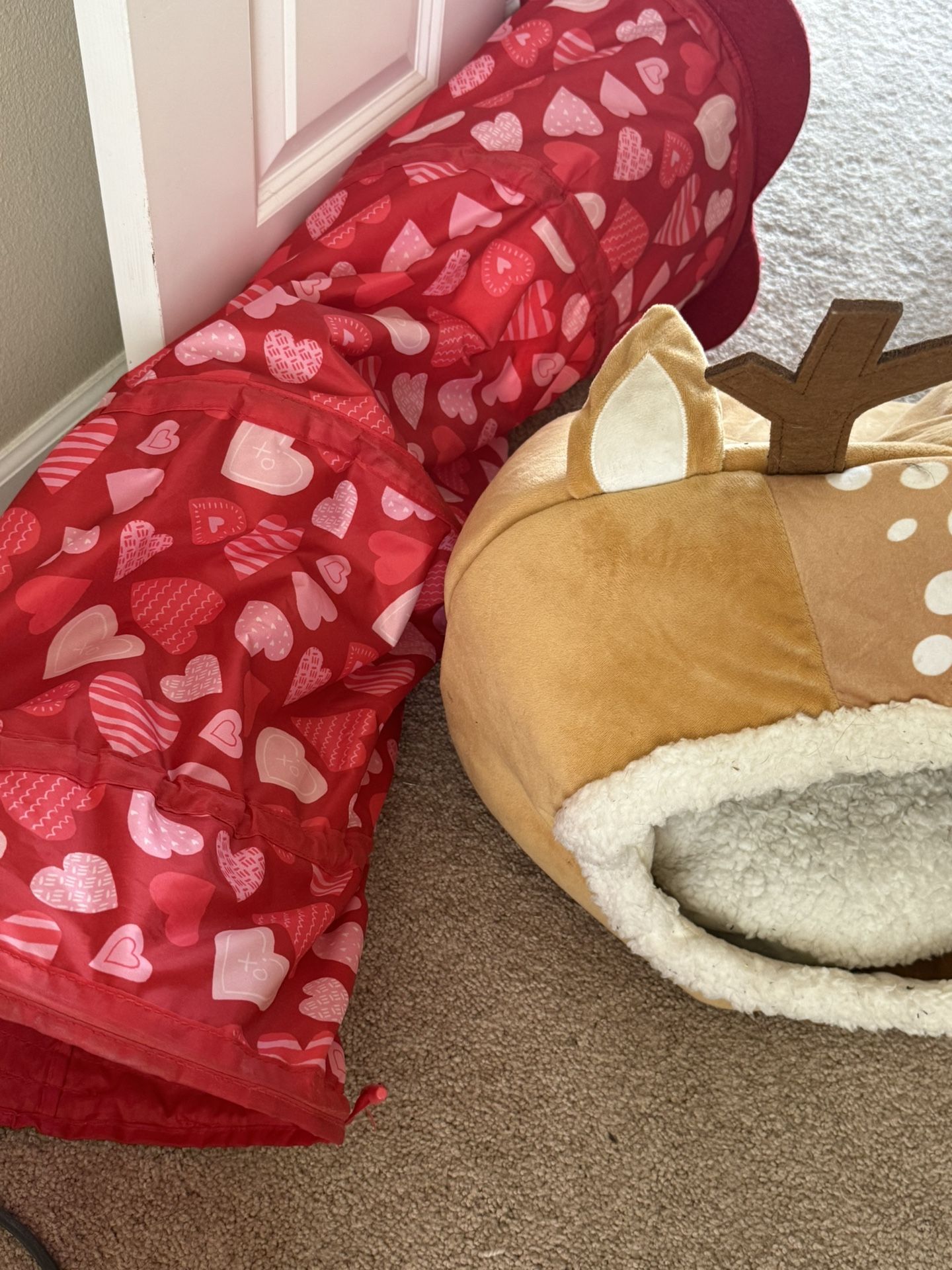 Cat Tunnel And House