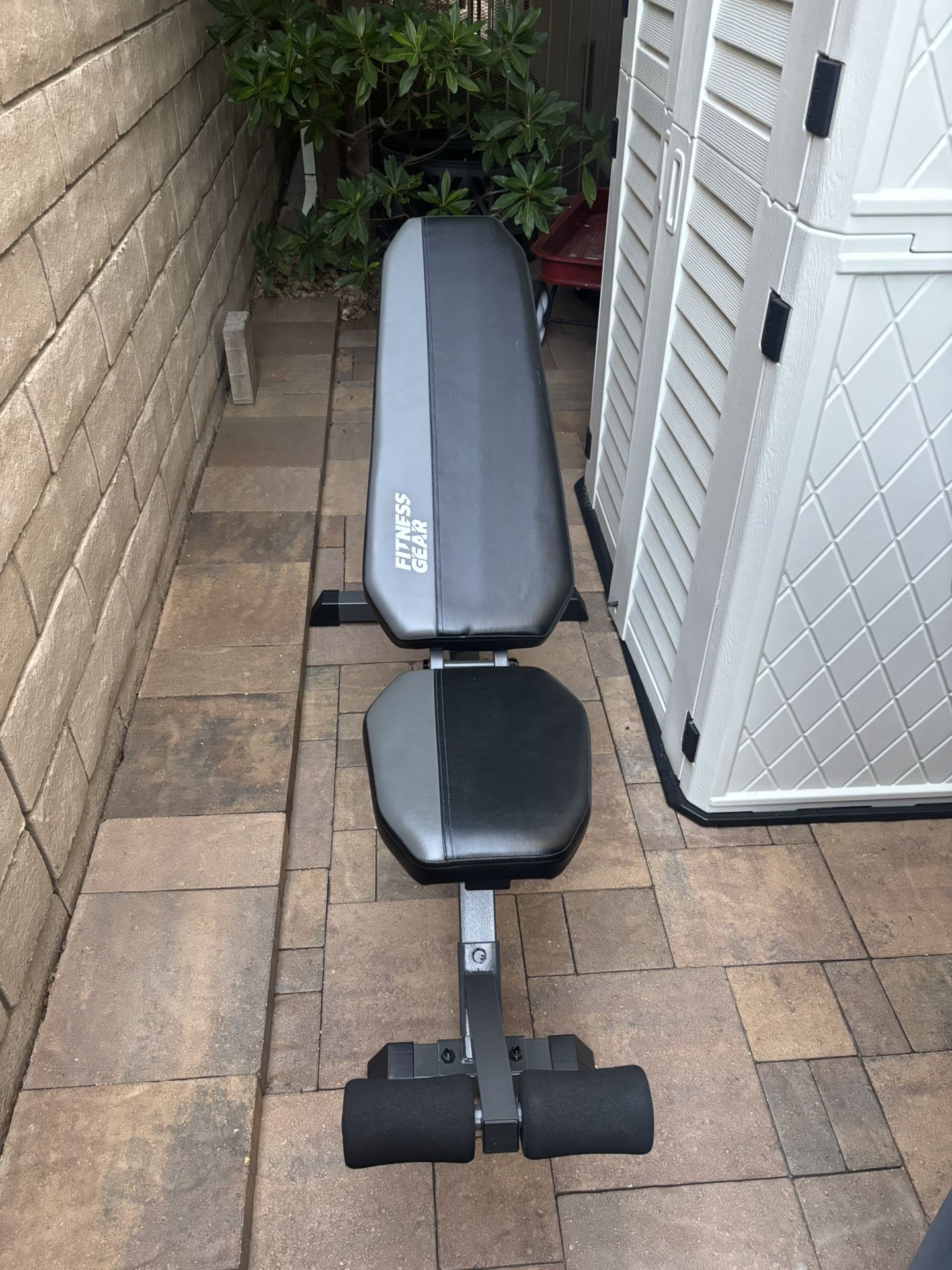 Exercise Bench