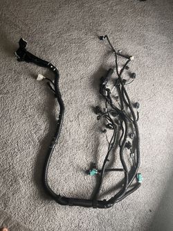 Wire Assembly