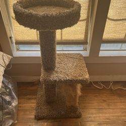 Almost New Cat Tree