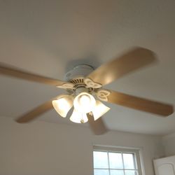 Ceiling Fan