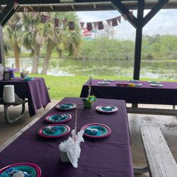 9- 6” x 20” Purple Tablecloth