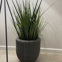 Fake Indoor Plant 
