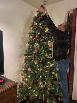Christmas Tree with built in lights, approximately 7 1/2 feet tall. $20