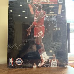 Michael Jordan Poster