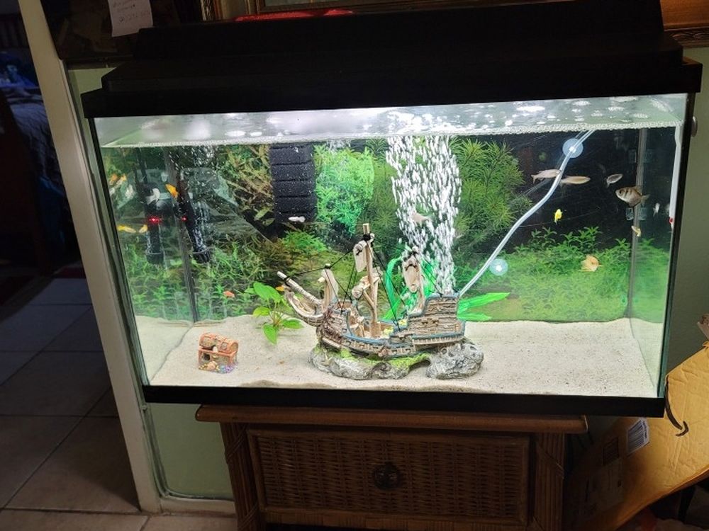 Fish Tank 45gal