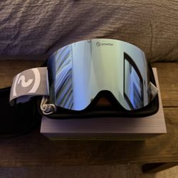 Snowboard Goggles