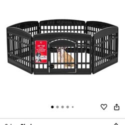 Dog Gate