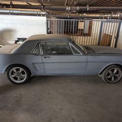 1966 Ford Mustang