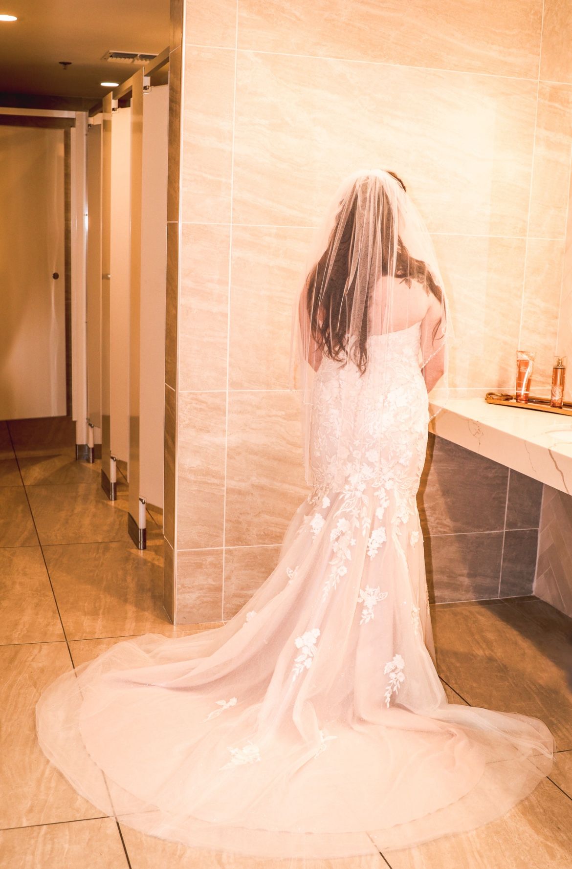 Wedding Dress And Veil