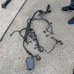 Engine Wiring Harness Hyundai Genesis Coupe OEM