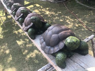Garden turtles!
