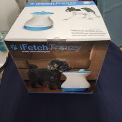 iFetch Frenzy Brain Game