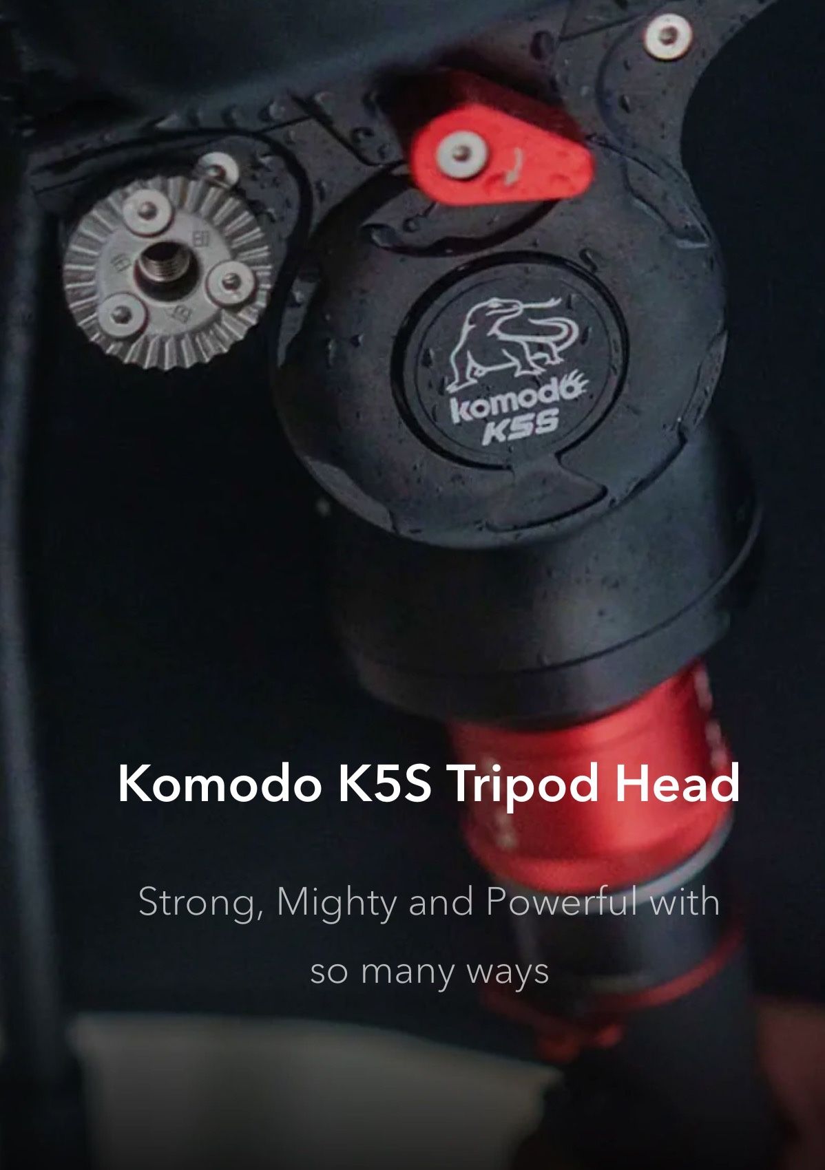 KOMODO TRIPOD HEAD