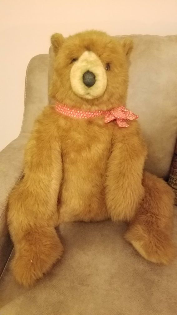 Avanti 1982 brown bear